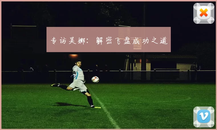 专访吴娜：解密飞盘成功之道