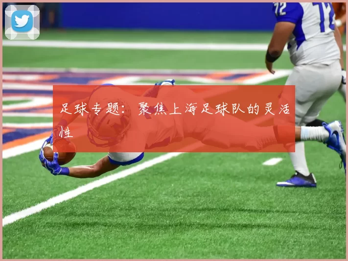 足球专题：聚焦上海足球队的灵活性