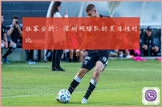 独家分析：深圳网球队的灵活性对比